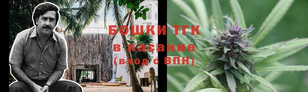 стаф Бородино